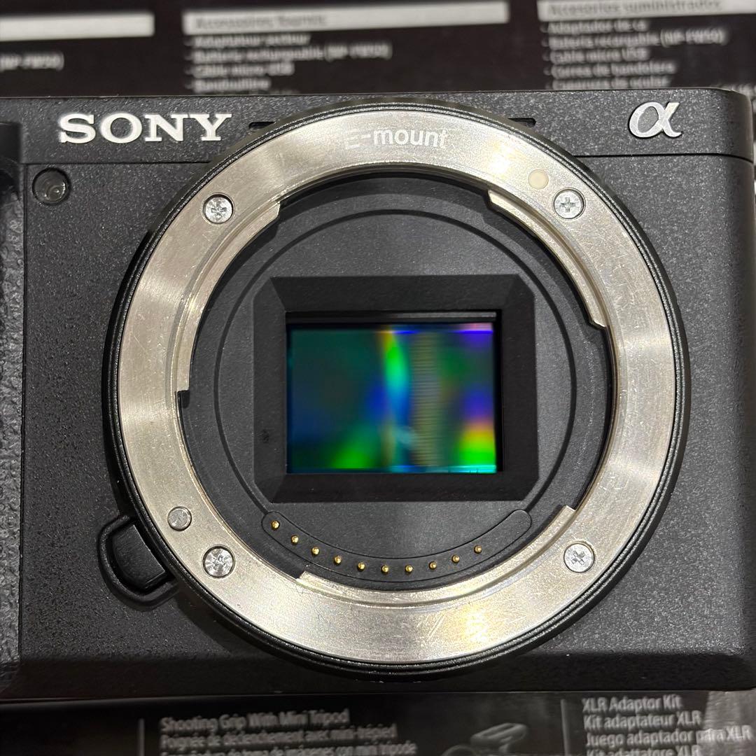 SONY α6400 Wズームレンズキット