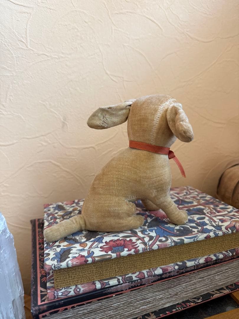 アンティーク　ドッグ　犬　テディベア　フランスアンティーク