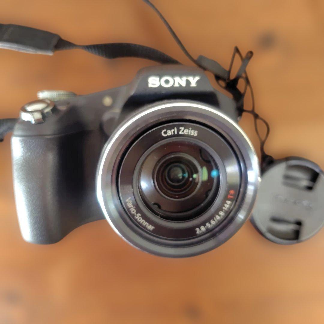 gutty【カメラ】Sony Cyber-shot DSC-HX100V