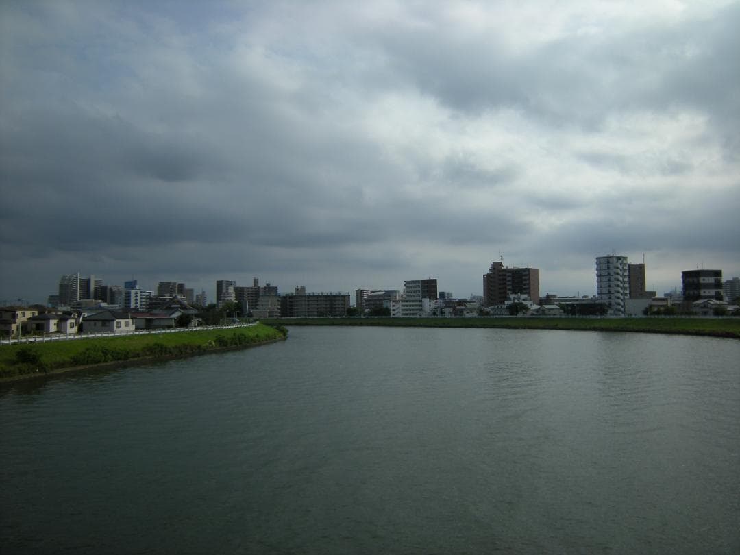 動作確認済 Nikon COOLPIX P50 単3電池タイプ デジタルカメラ