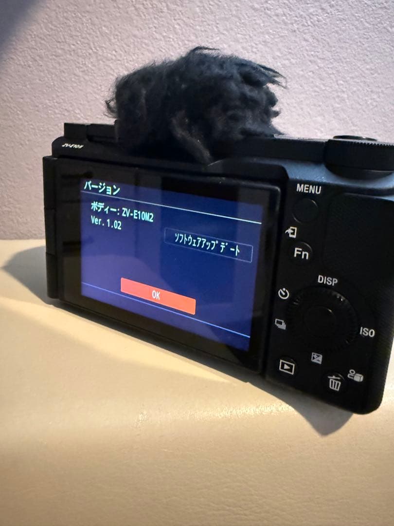 \最終値下/SONY ZV-E10 II ダブルズーム 動画特化