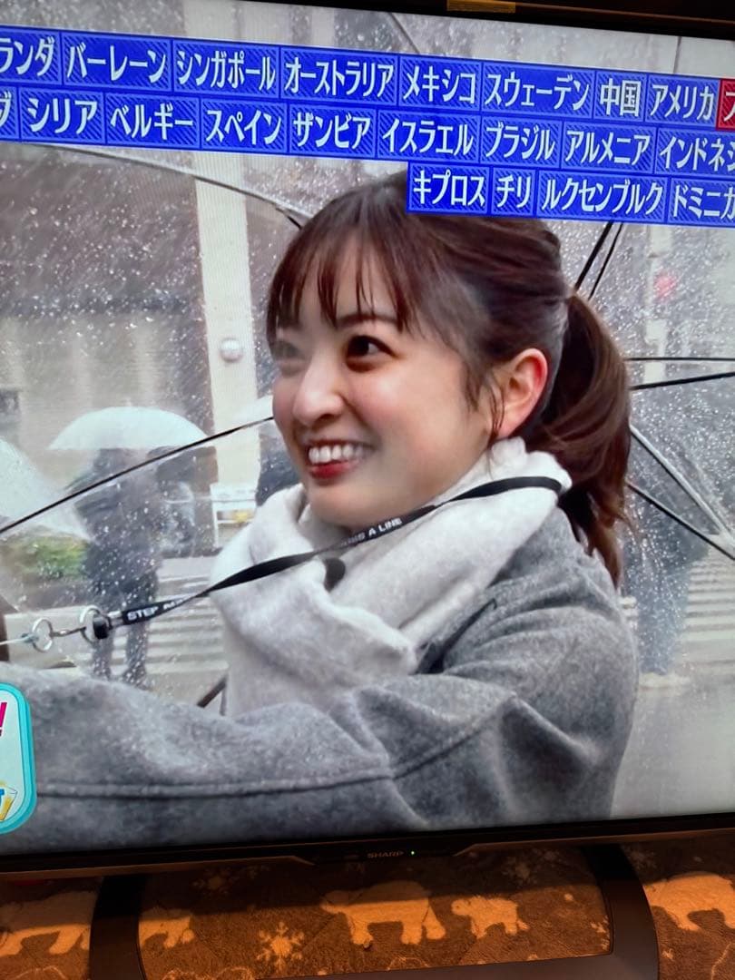 SHARP 52インチ 4K液晶テレビ LC-52US30