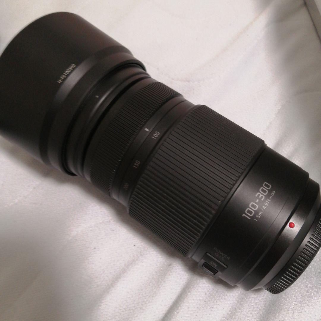 Panasonic H-FSA100300 100-300mm ズームレンズ