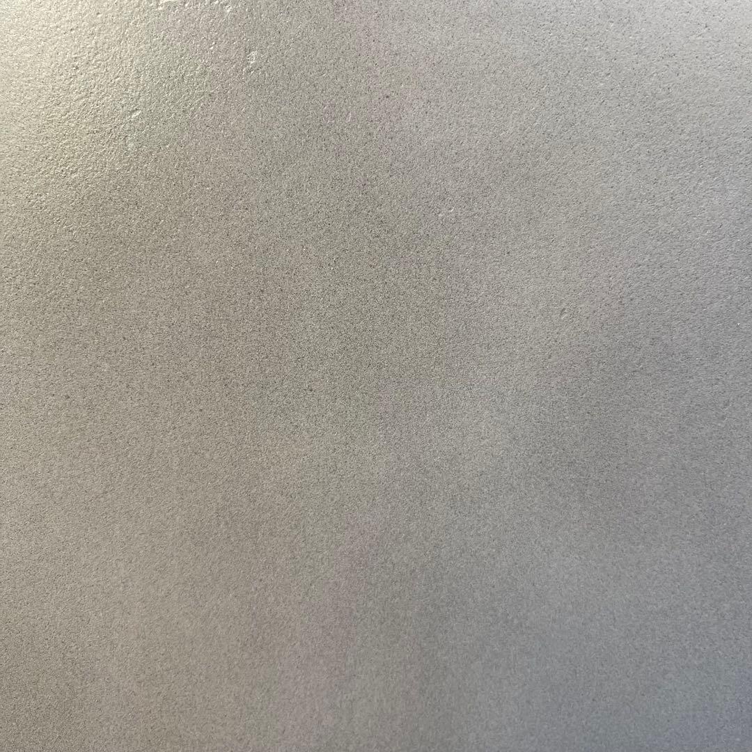 ユッカ ロストラータ　選抜品種　【サファイアスカイズ】陶器鉢　植え込み発送