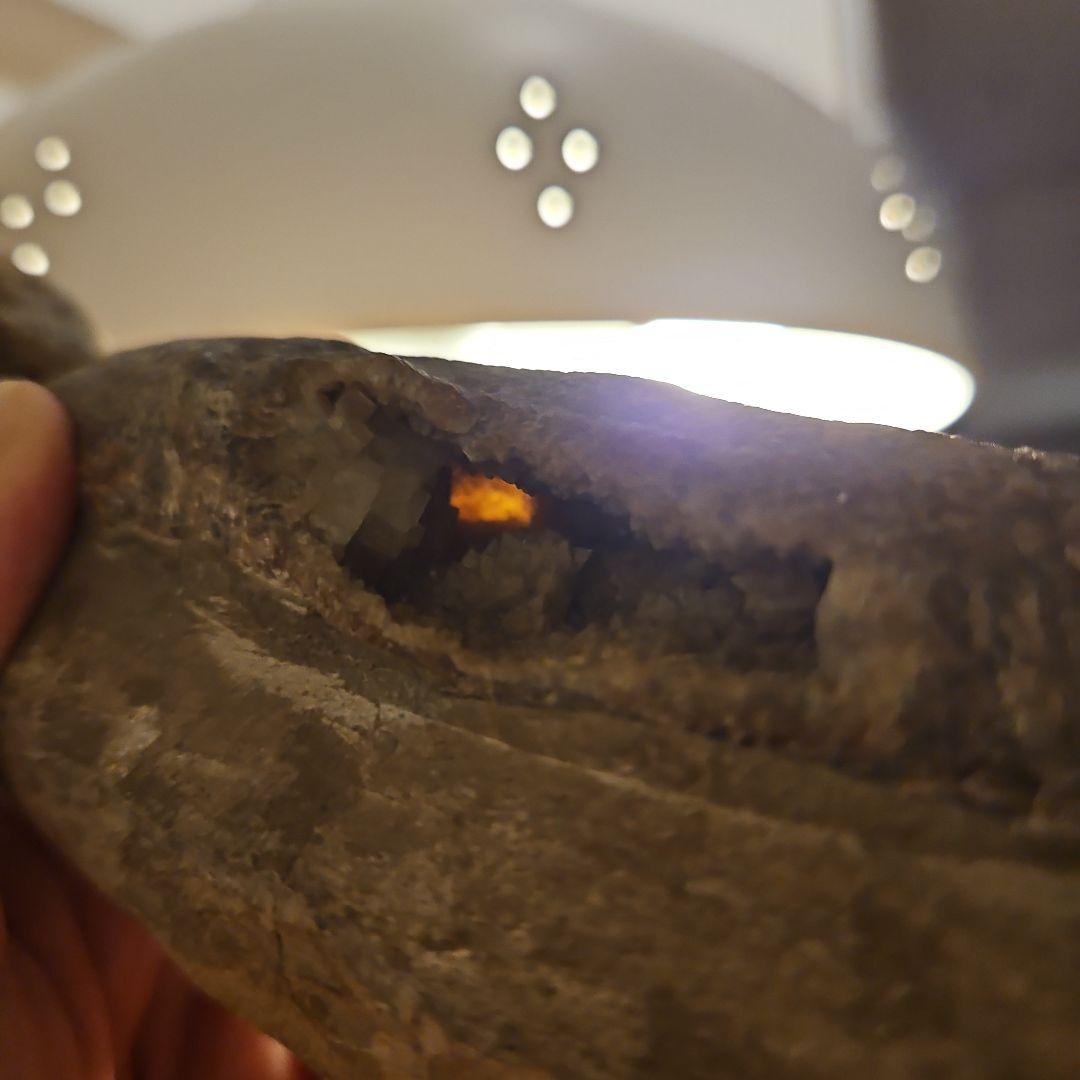 ラコレピス 結晶化の進んだ魚類の化石 台座付き