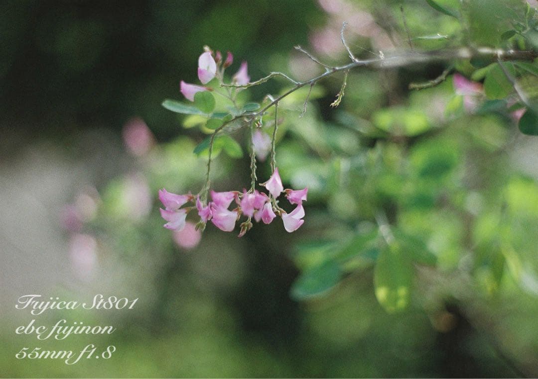 ★完動品＊美品★fujica st801／fujinon f1.8★初期保証