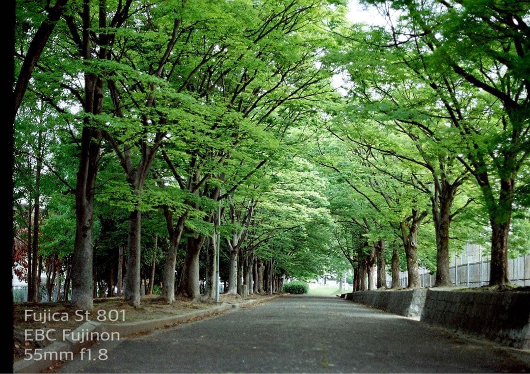 ★完動品＊美品★fujica st801／fujinon f1.8★初期保証