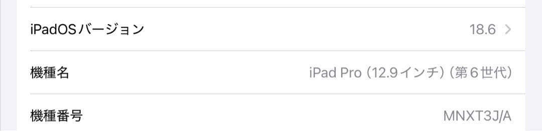 iPadPro 12.9インチ 第6世代　256GB シルバー Wi-Fiモデル