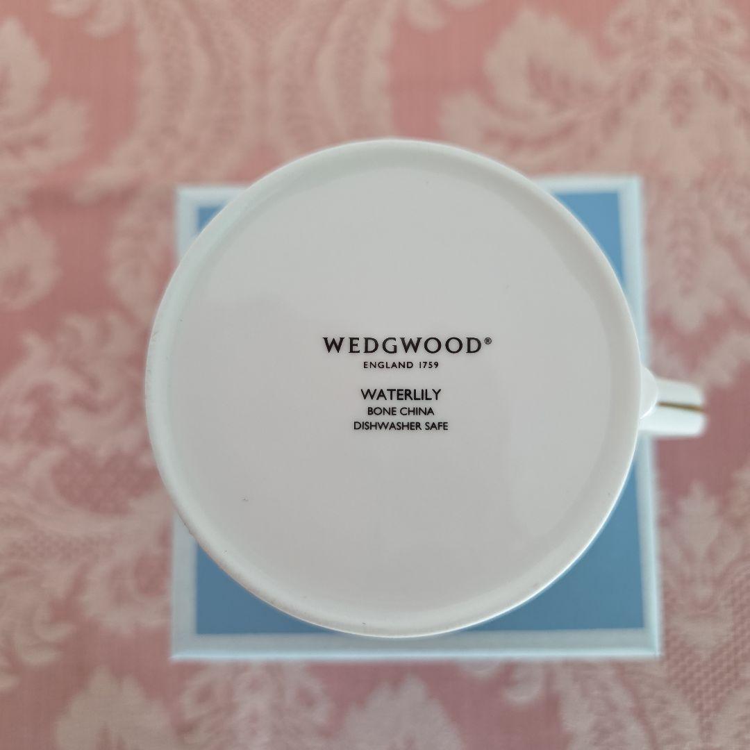  PINK ROTUS、WATERLIRY ２種のカップ&皿