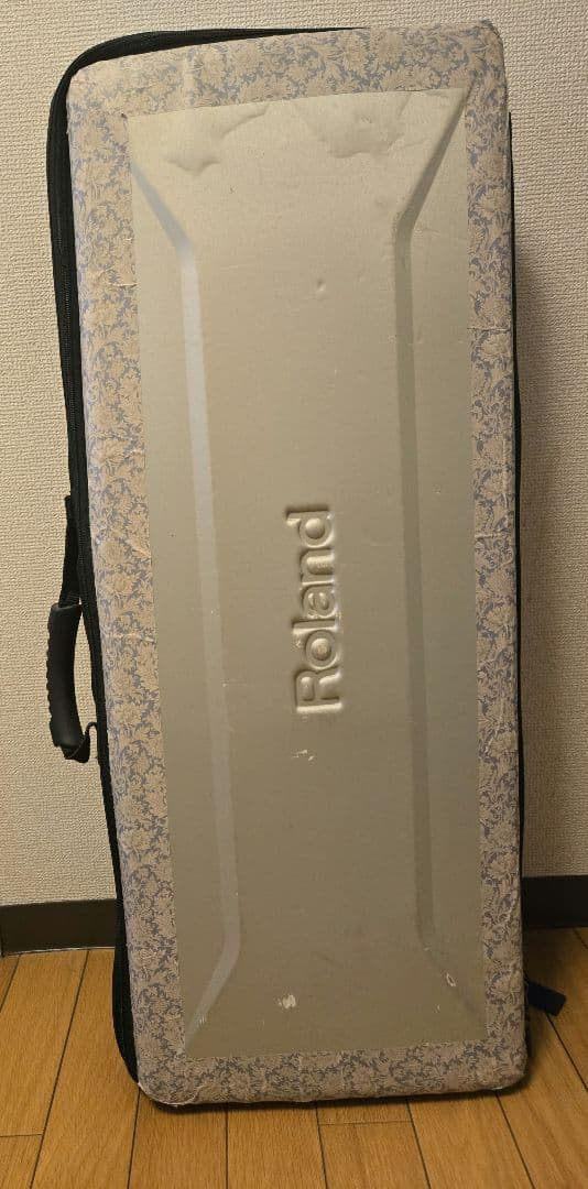 Roland Lucina AX-09 ケース付