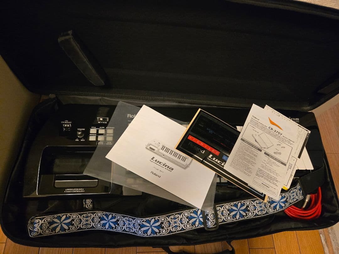 Roland Lucina AX-09 ケース付