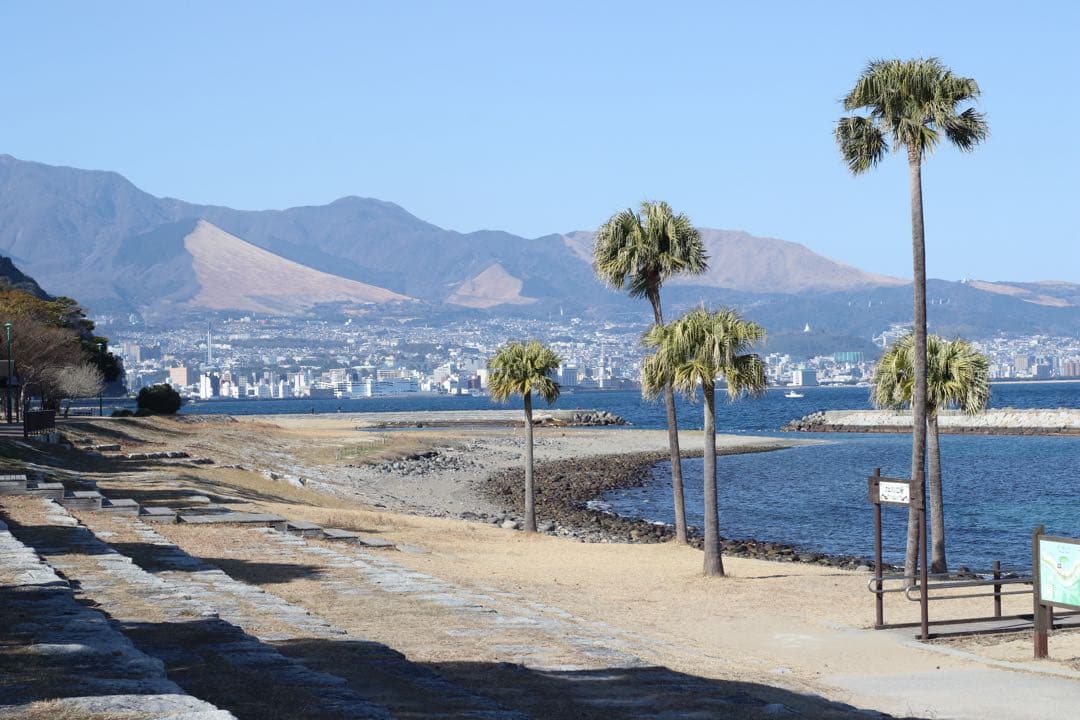 ★ OLYMPUS M-1 + \"M-SYSTEM\" 標準レンズ 50mm