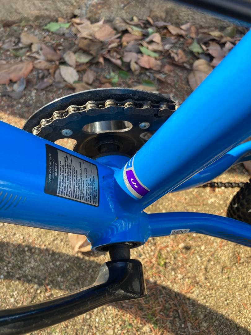 【bridgeworks】Giantキッズバイク　20インチ