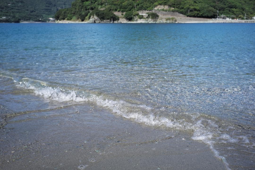 【1/3まで】トリウムズミクロン 50mm F2 沈胴 Summicron