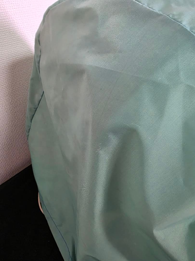 バイオプトロンプロ1 bioptron Pro1　美顔器