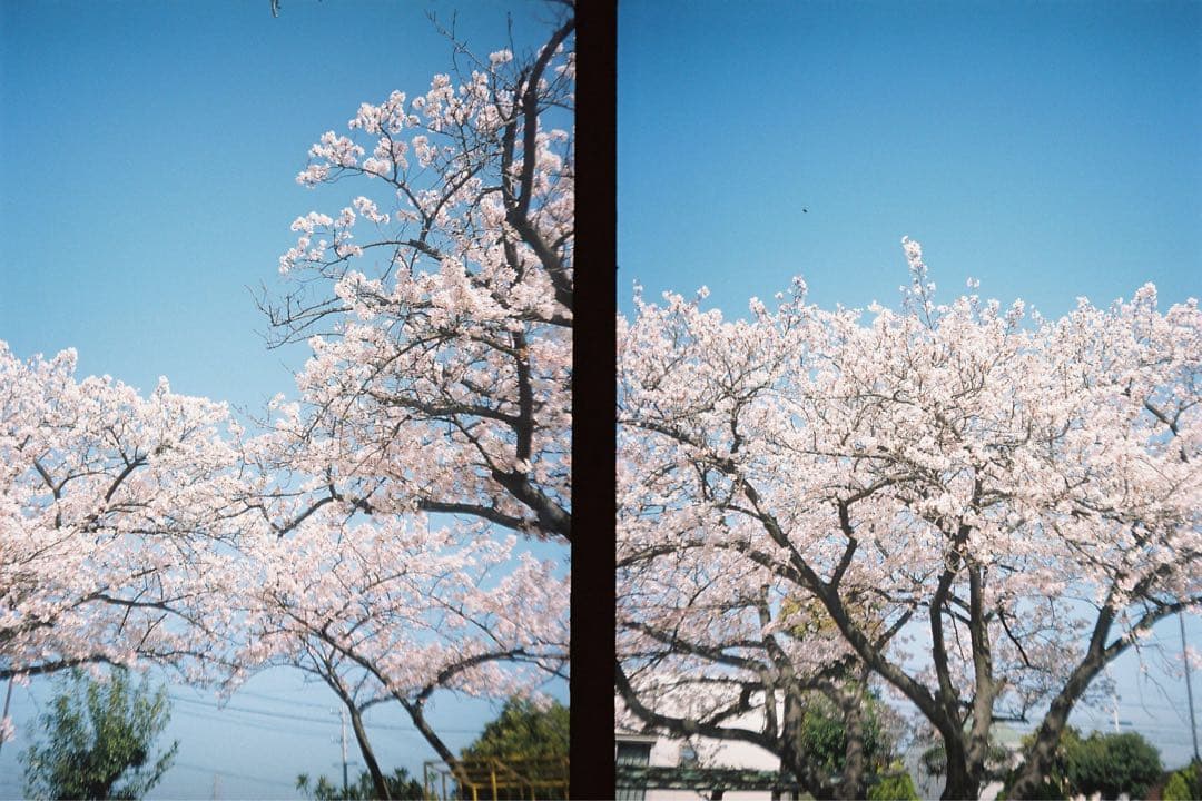 【希少・完動品】maruman EXPRESS ハーフフィルムカメラ