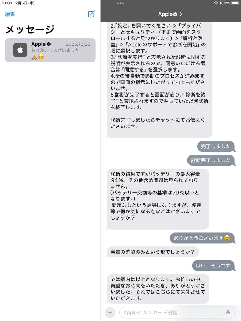 【極美品】Apple iPad mini (第５世代) Wi-Fi 64GB