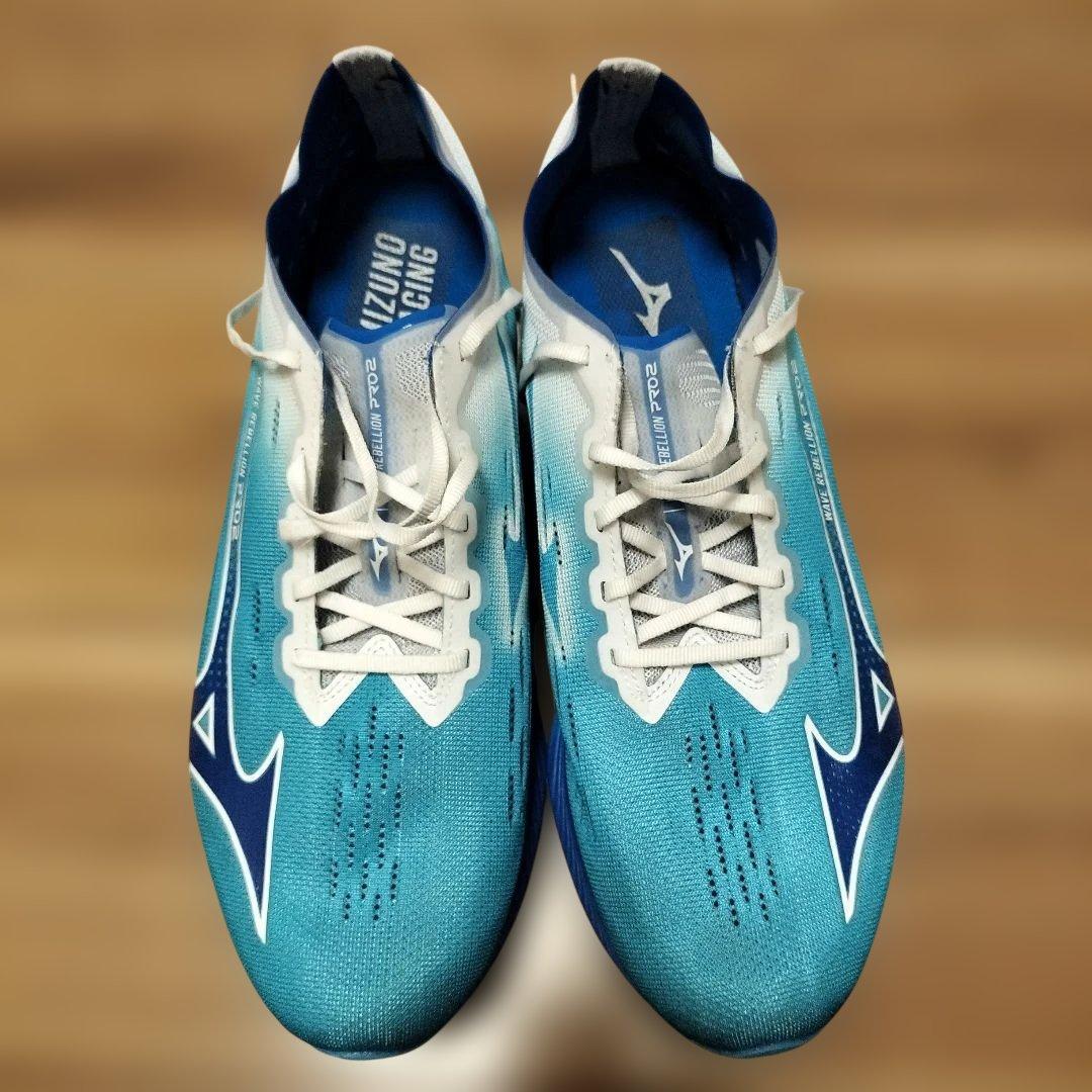 ミズノ ウエーブリベリオンプロ２ 29.0cm