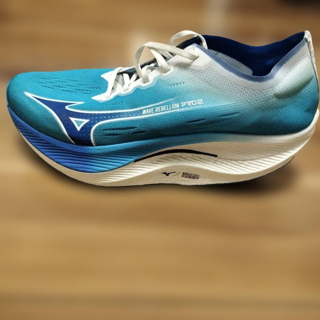 ミズノ ウエーブリベリオンプロ２ 29.0cm