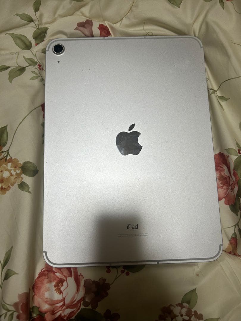 Apple iPad第10世代　256GB 美品