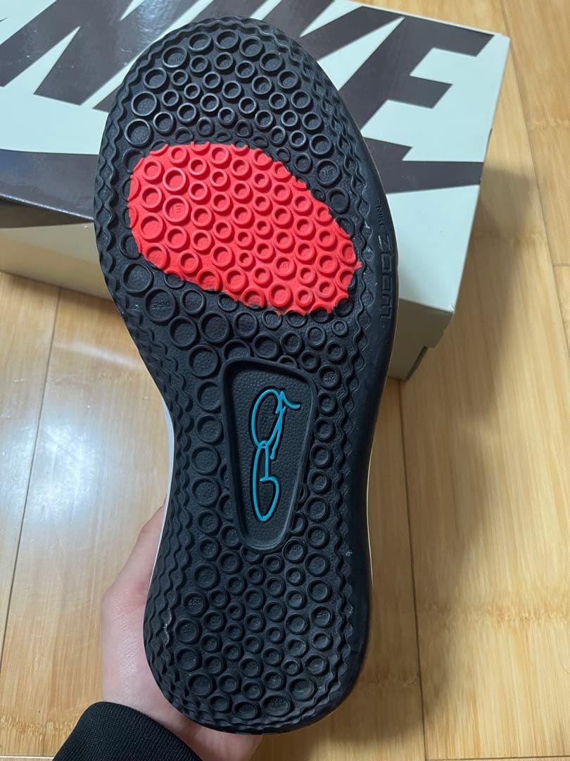 シューズ(男性用) NIKE PG3 28cm