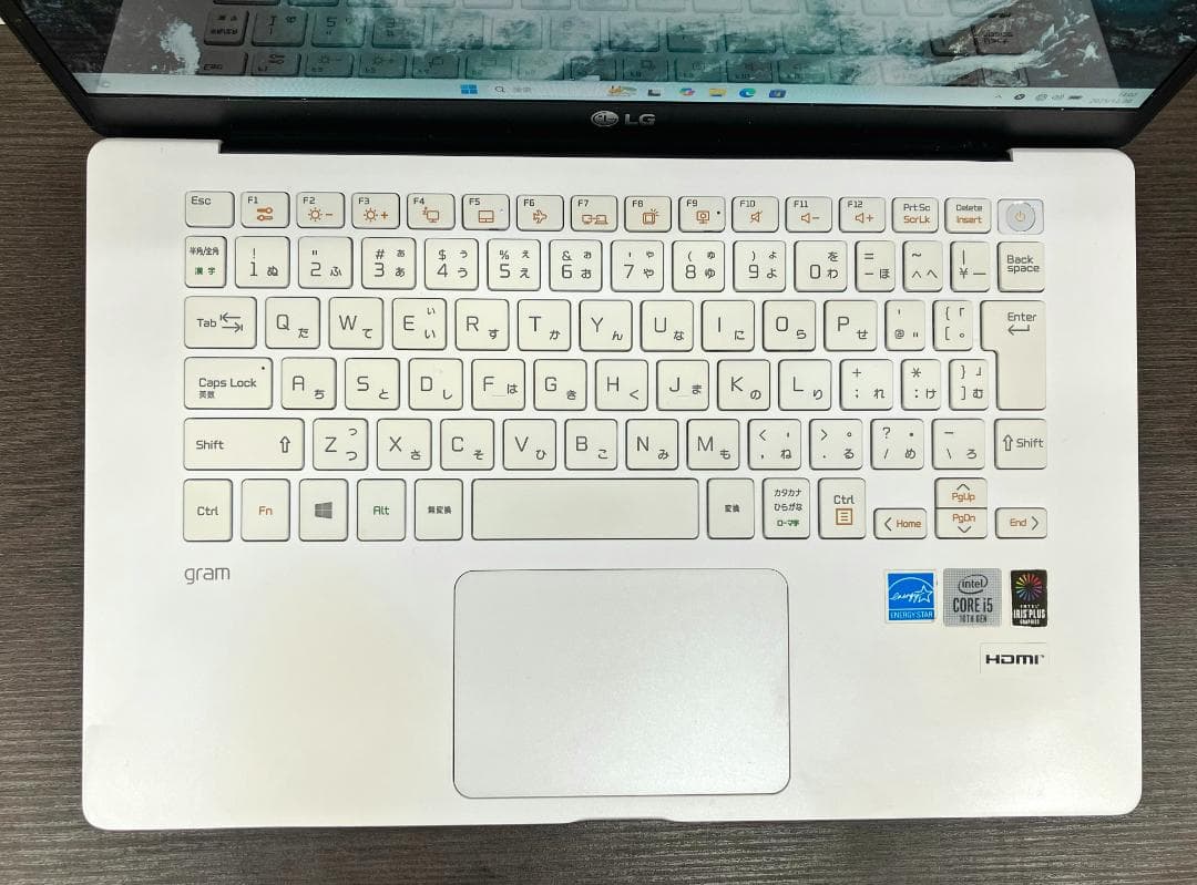 10世代) LG gram i5 / 16Gb / 512GB / office