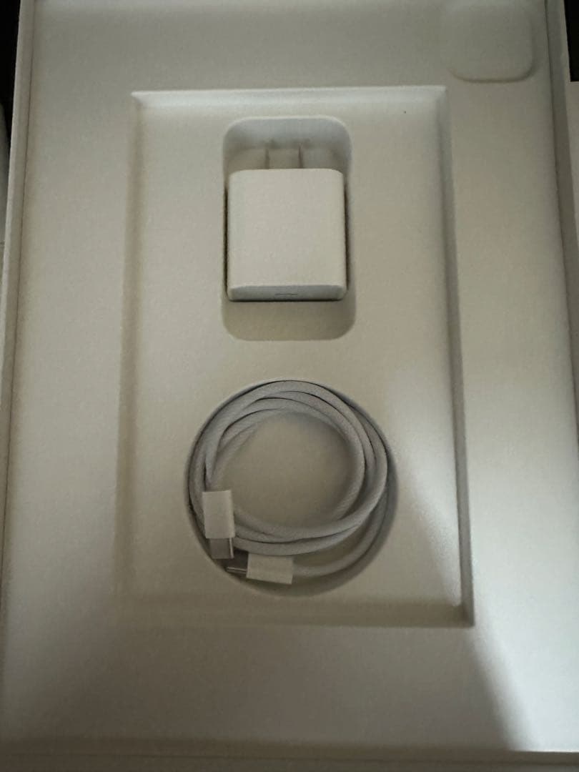 iPad Pro 第4世代スペースグレー + Apple Pencil