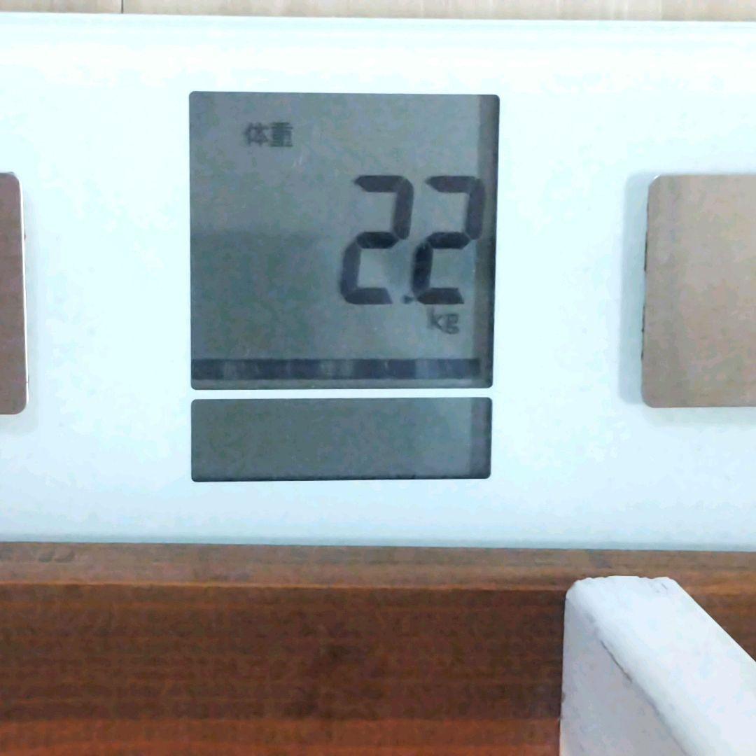 インテリア雑貨　木製　飾り棚　シェルフ