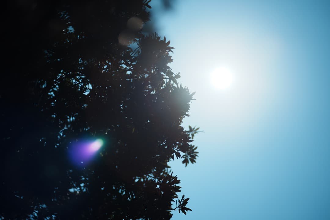 【神レンズ】オリンパス Zuiko auto macro 90mm F2 703