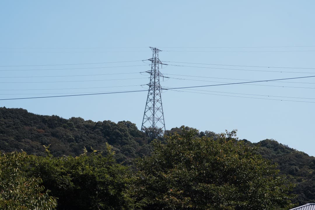 【神レンズ】オリンパス Zuiko auto macro 90mm F2 703