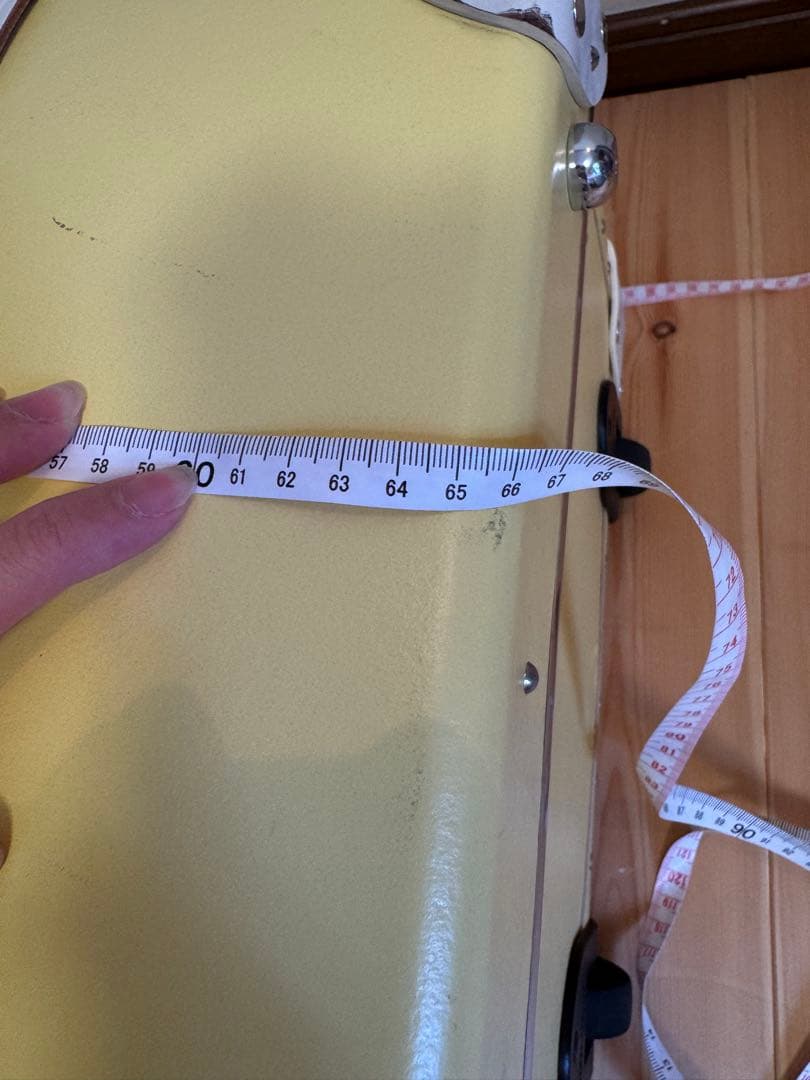 い*お様 グローブトロッター　キャリー