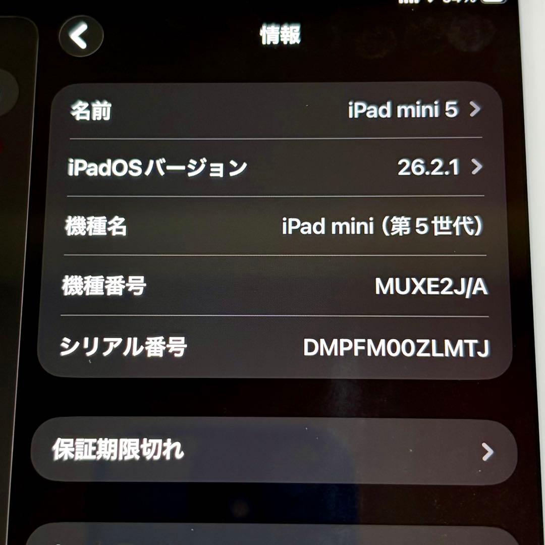 iPad mini5 WiFi+Cellular 256GB 週末にて終了❕
