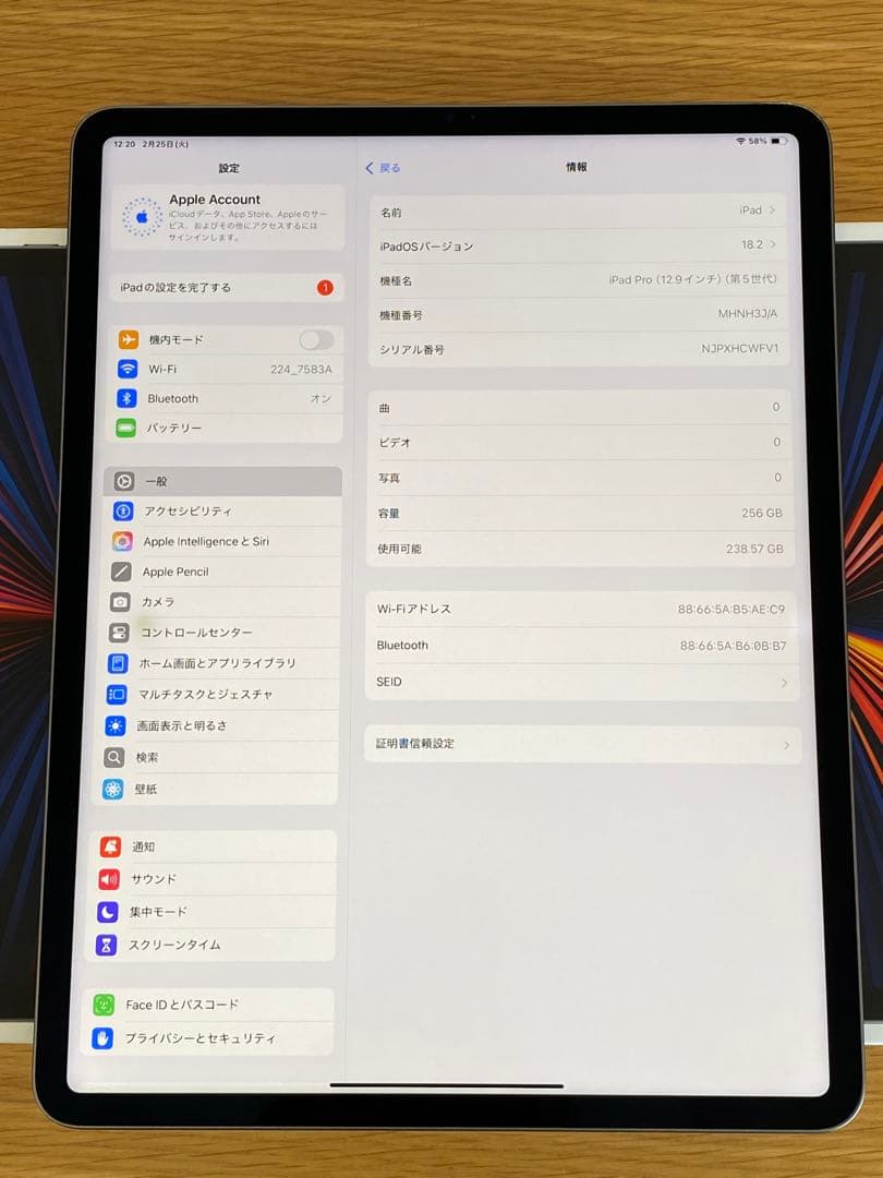 iPad Pro第5世代　12.9inch 256GB バッテリー良好