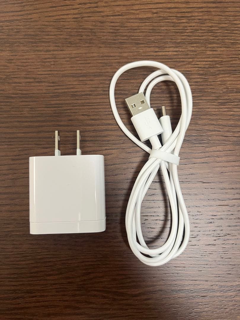 Panasonic IonBoost 美顔器 マルチイオンブーストEX