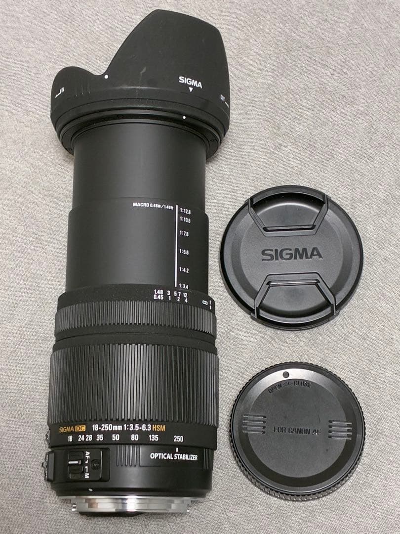 ⭐️美品⭐️ SIGMA 18-250mm 3.5-6.3 DC OS HSM