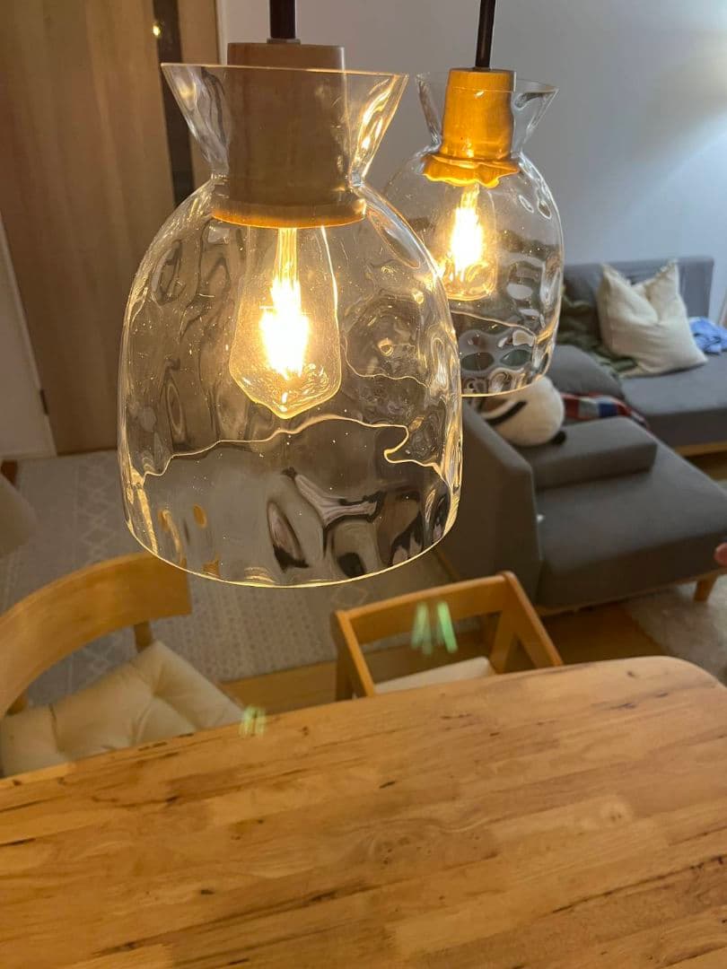 クリアガラス ペンダントライト 2灯（電球別）