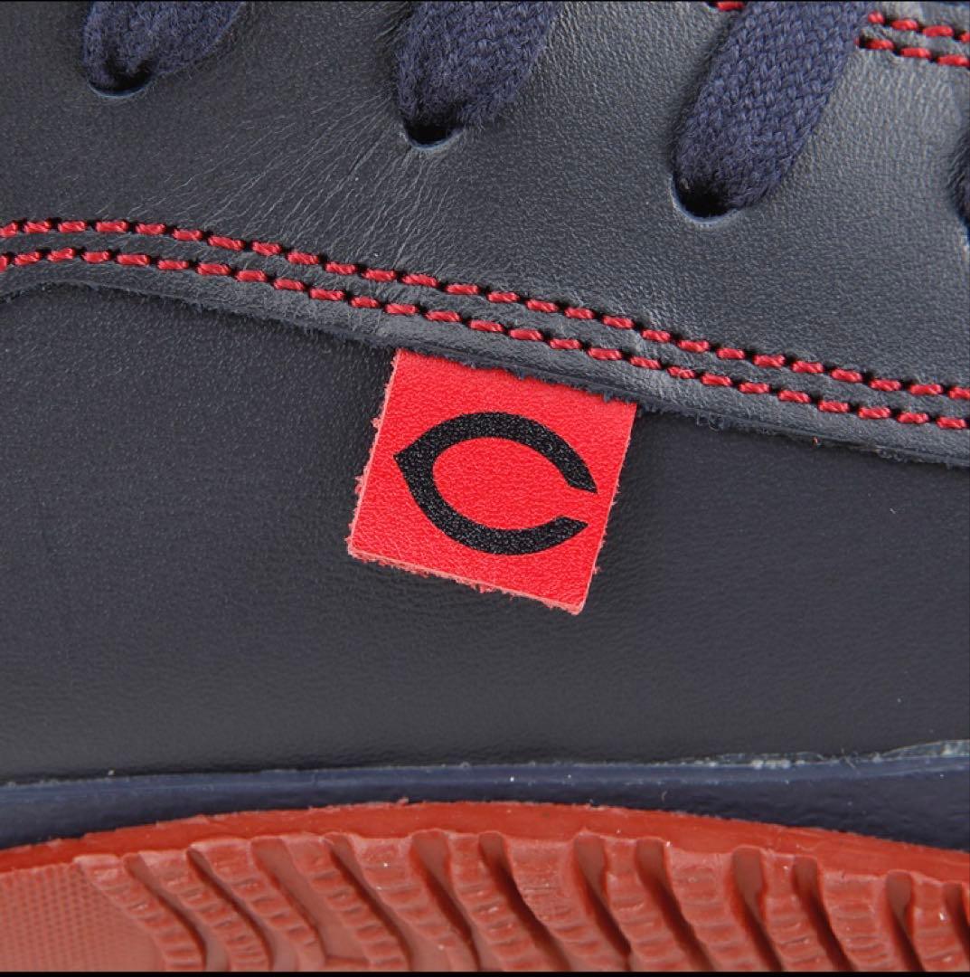 【完売】Carp×SPINGLEシューズ　Lサイズ