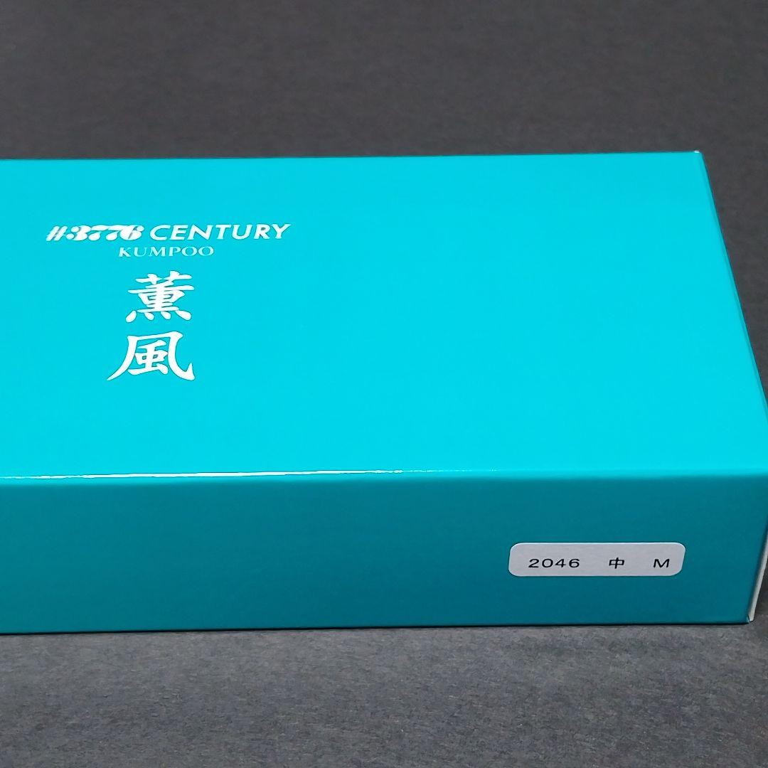 ☆【PLATINUM】薫風 М 万年筆 #3776 CENTURY