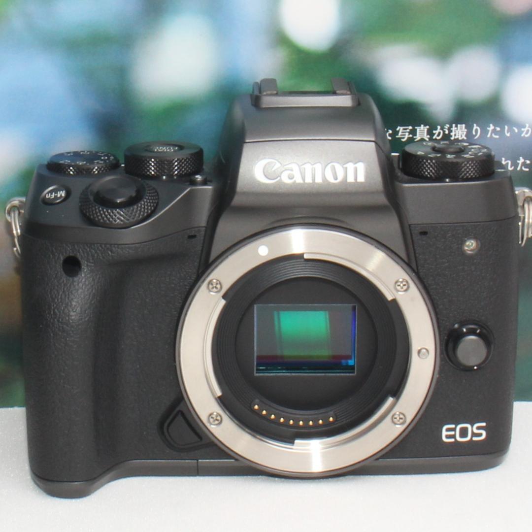 ❤️予備バッテリー&2倍テレコン付き❤️Canon EOS M5 神レンズセット