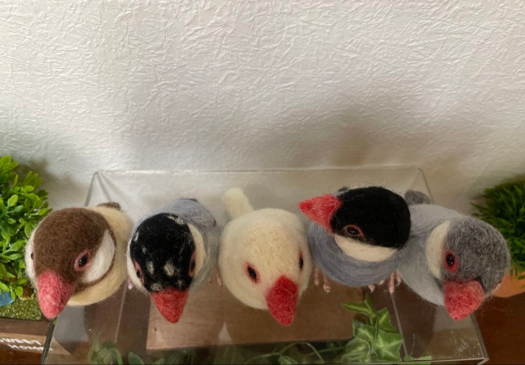 小さな文鳥たち