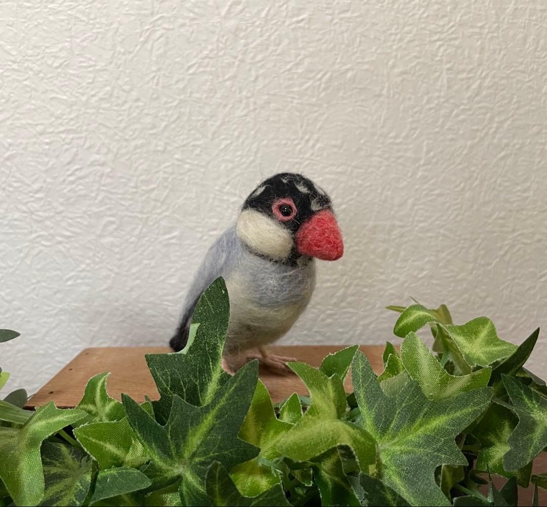 小さな文鳥たち