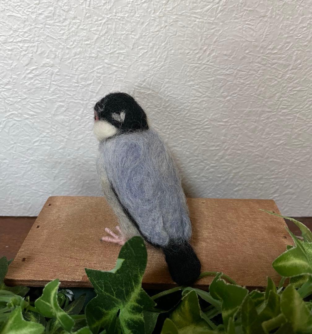 小さな文鳥たち