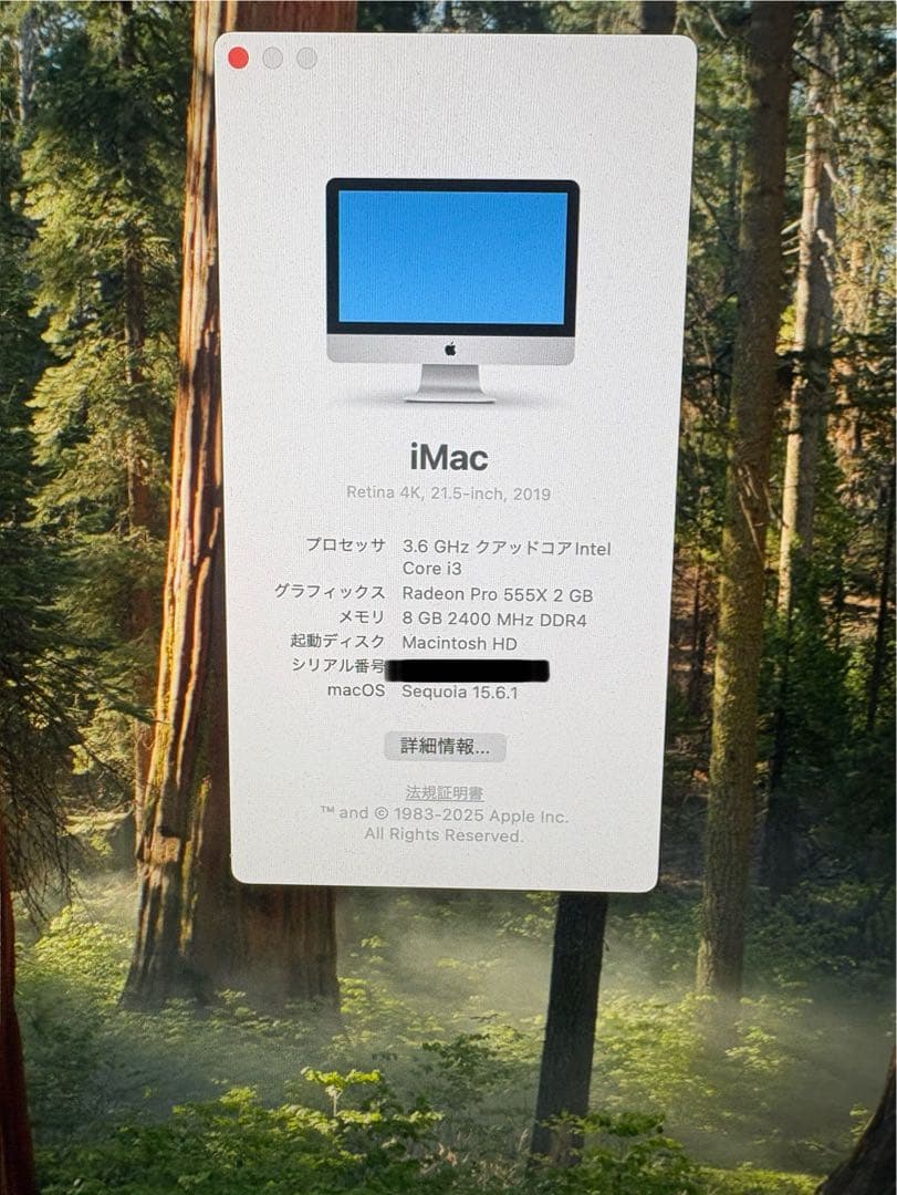 iMac (Retina 4K, 21.5-inch, 2019) ジャンク品