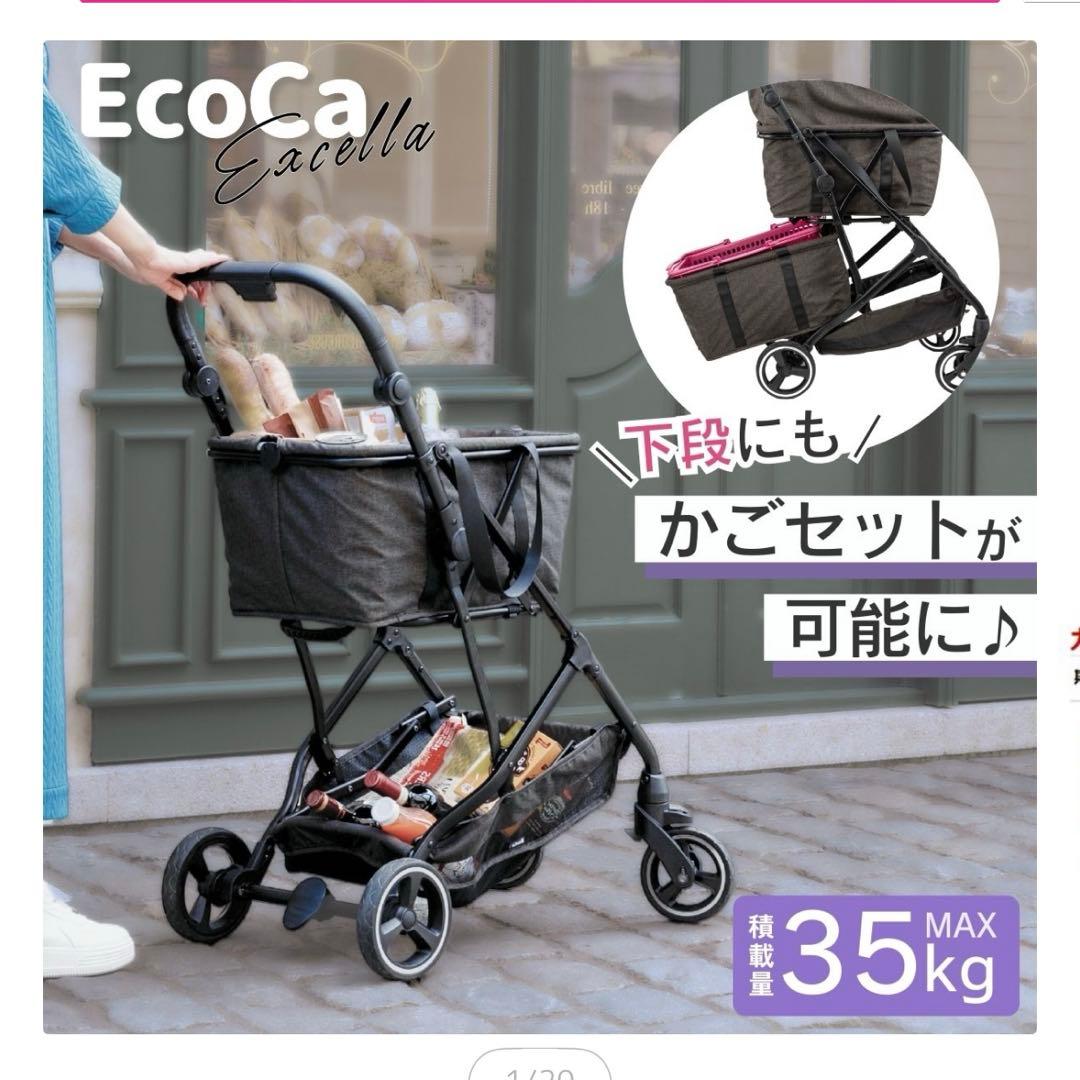 エコカ　エクセラ　定価33,800円