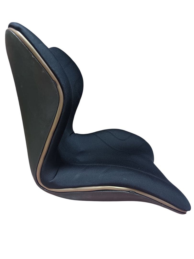 Style PREMIUM 腰椎サポート機能 ブラック