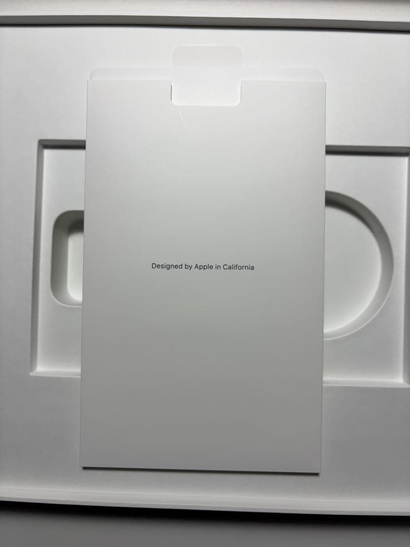 iPad Pro 12.9 3世代 256GB cellular SIMフリー