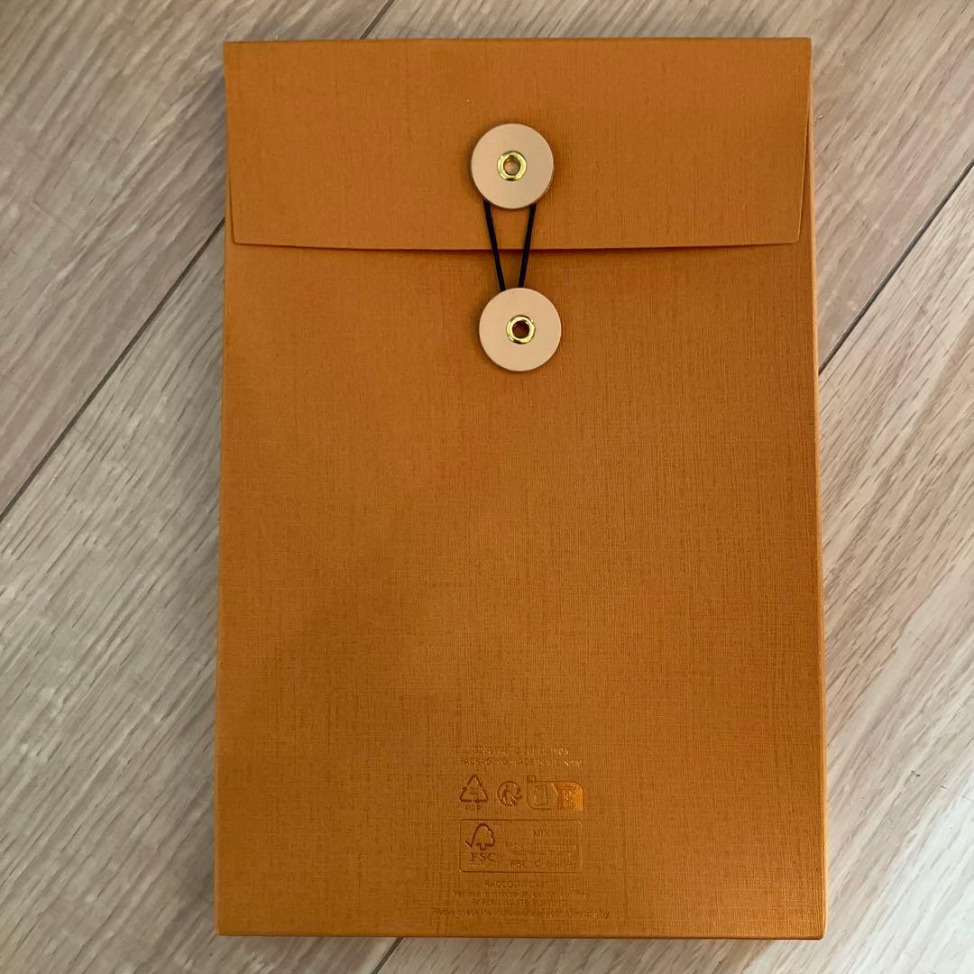 LV × TM ジェーン　ルイ・ヴィトン × 村上隆　ケース付き