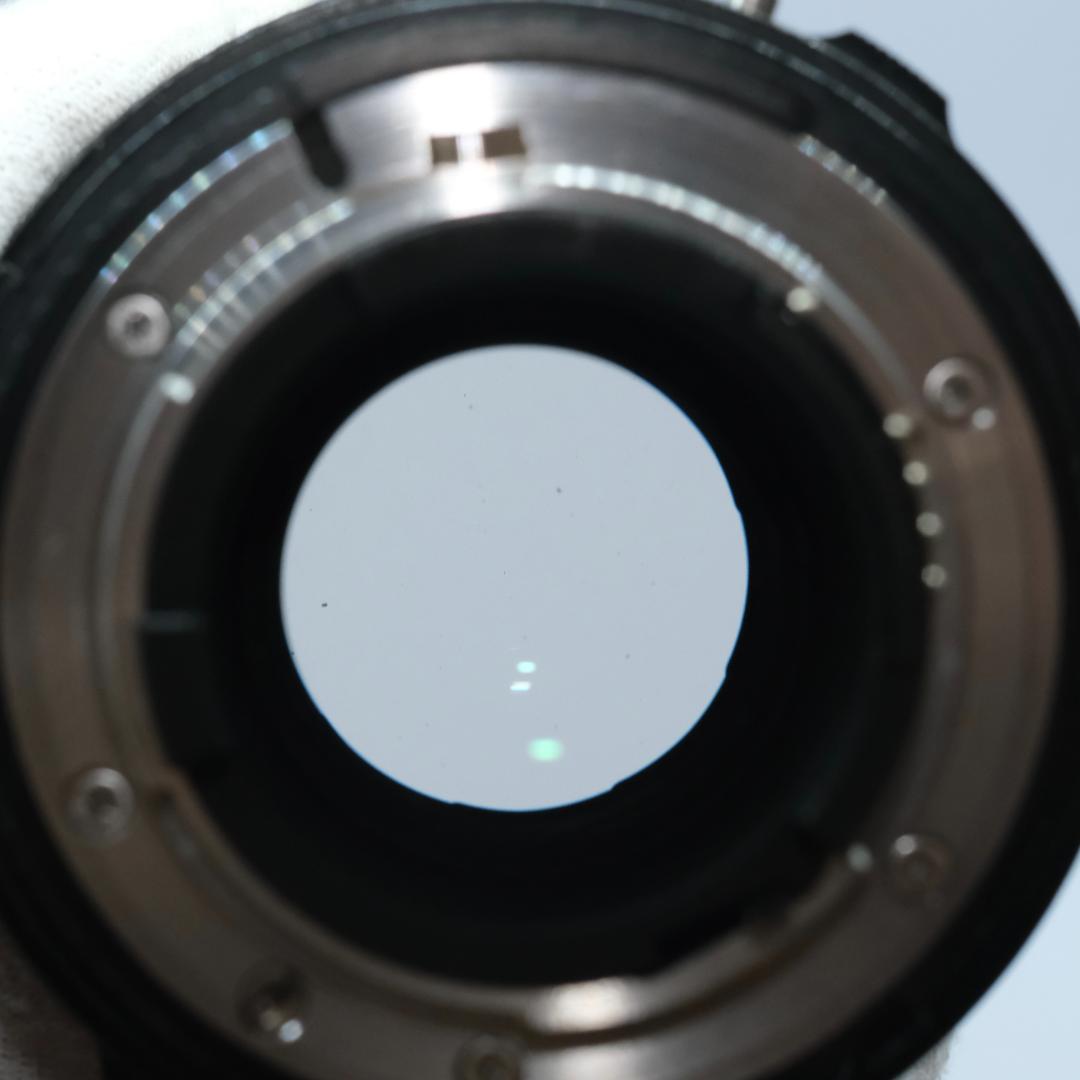 Nikon NIKKOR 80-200mm F2.8 ED 大口径ズームレンズ