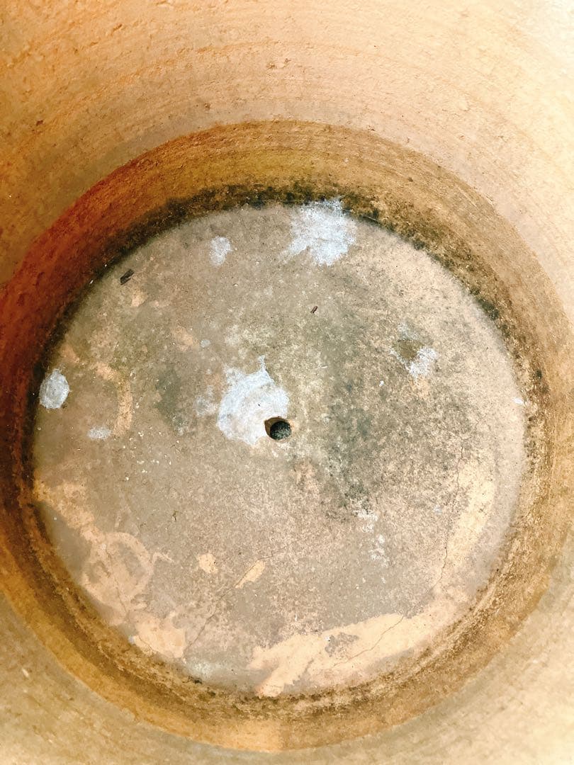 テラコッタ　アンティーク調　直径50cm 高さ45cm オリーブ柄 植木鉢 陶器