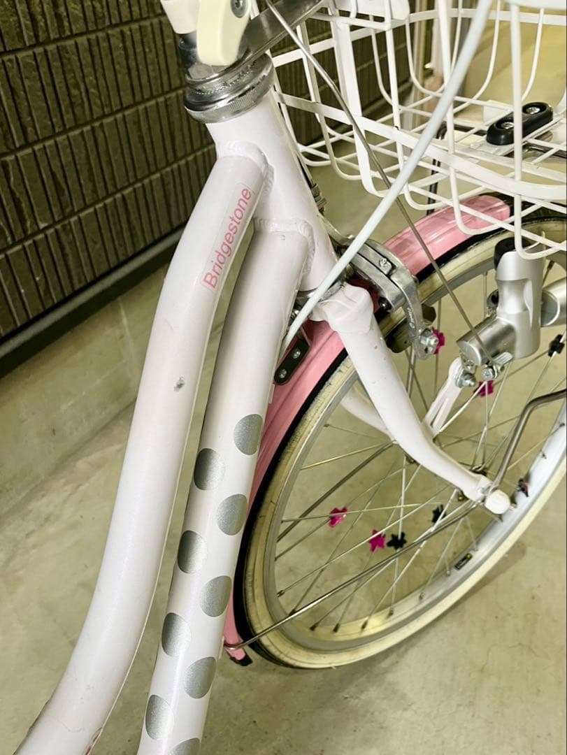 ブリヂストンサイクル　ジュニア向け自転車「ワイルドベリー」　20インチ